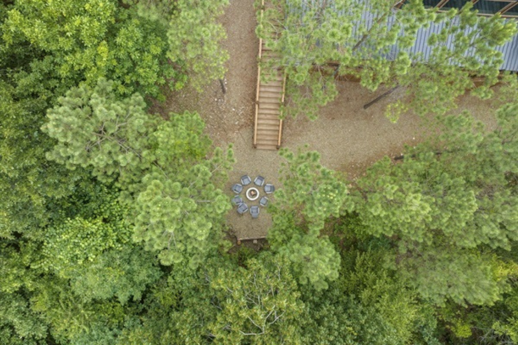 Find your peaceful retreat at Simply D’Vine, nestled among towering pines.