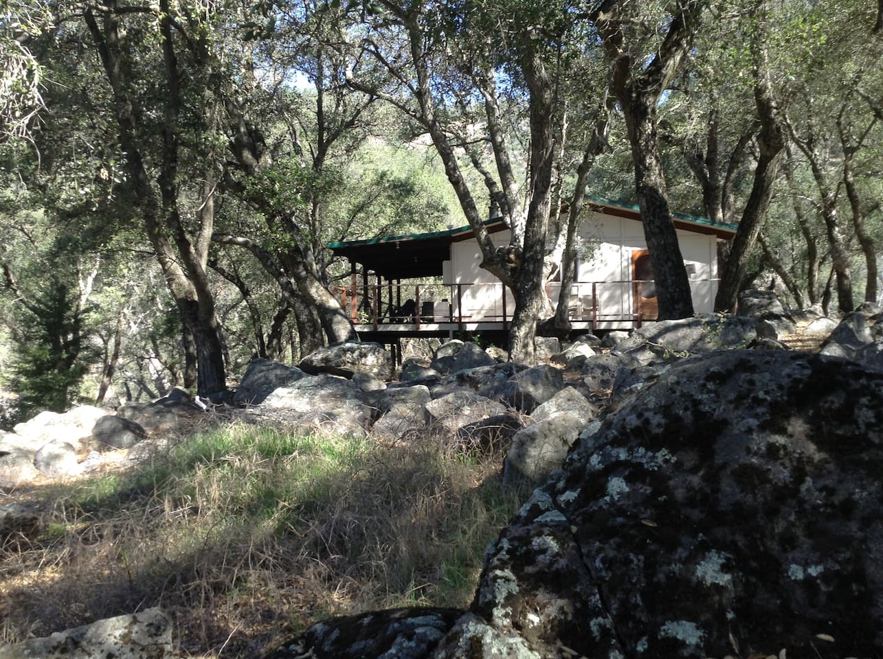 House in the Woods on the 67 Acre Ranch