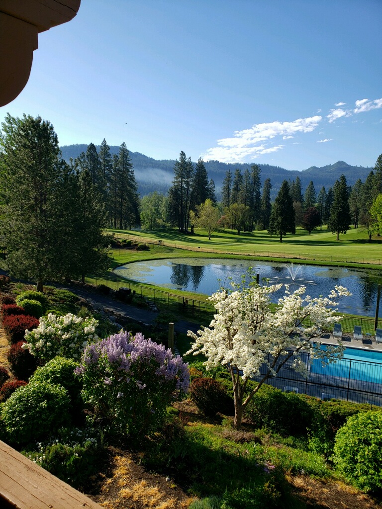 View of the pool and pond