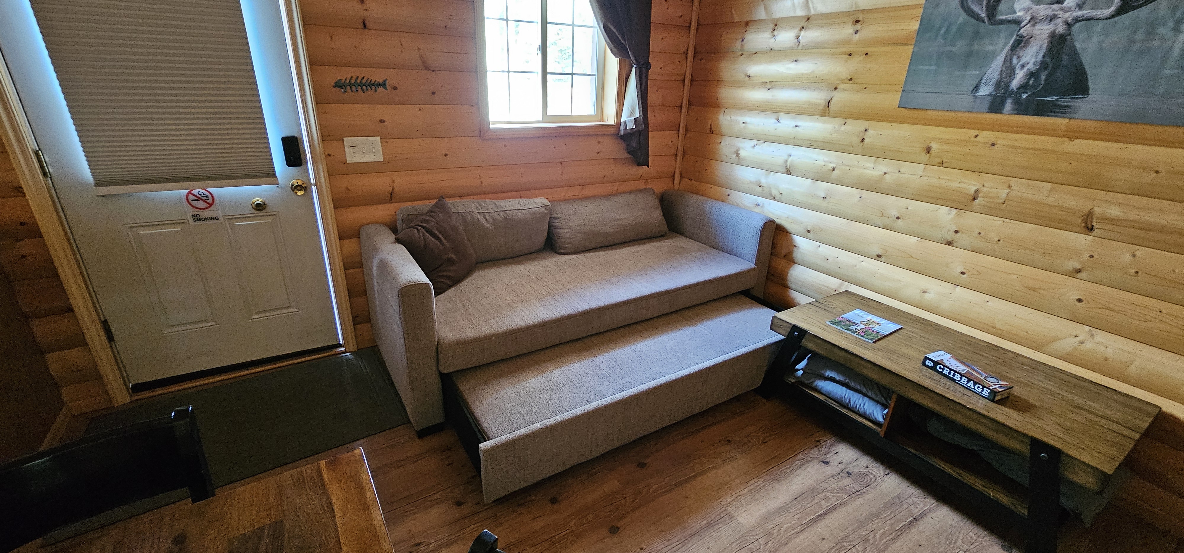 Living Room and Sofa Bed