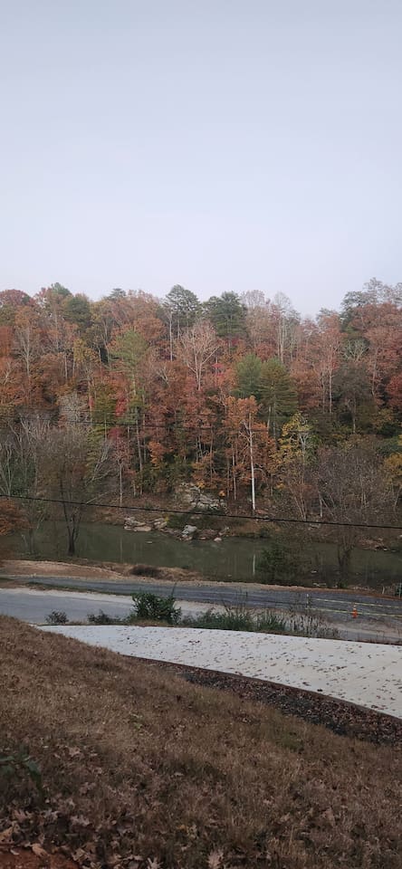 Fall color
