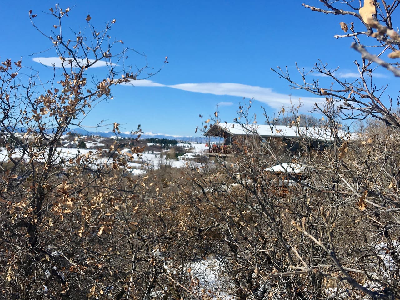 Beautiful winter days!