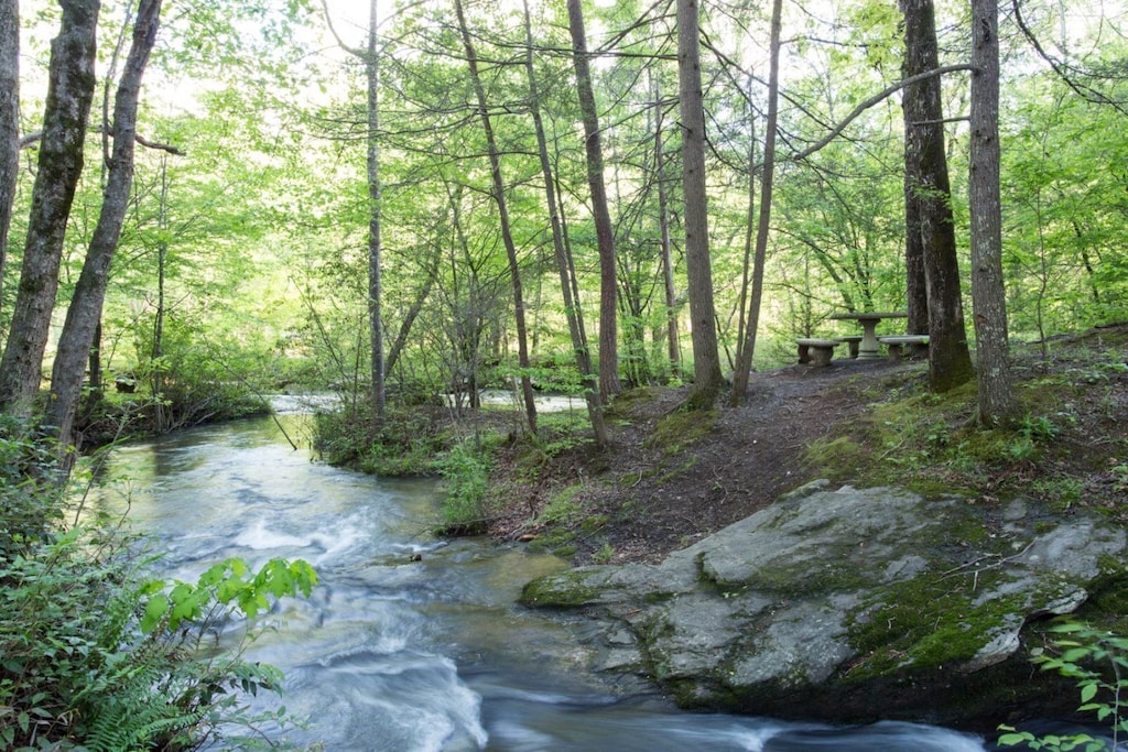 Plan a picnic near the common area river access