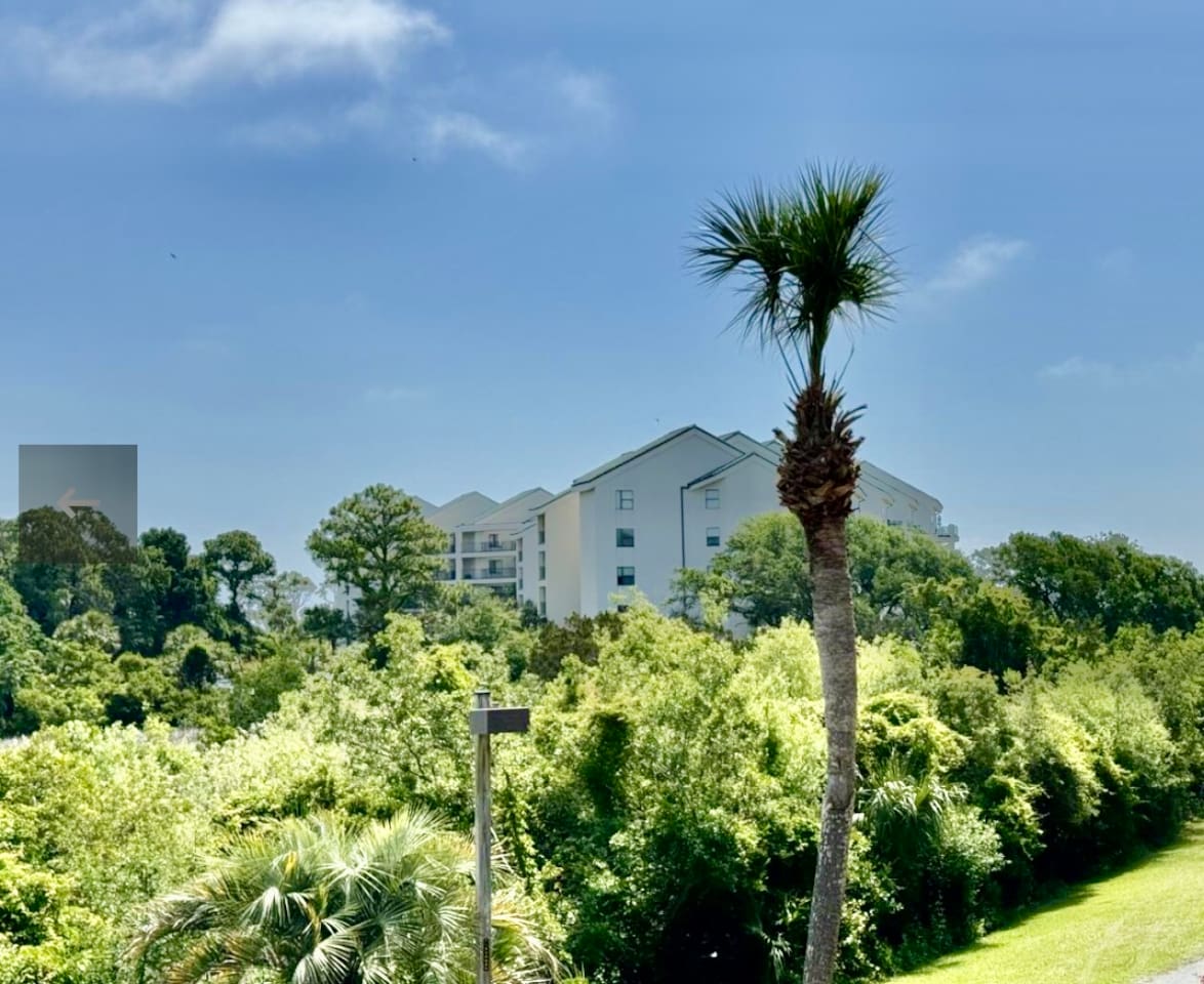 Resort grounds and palms