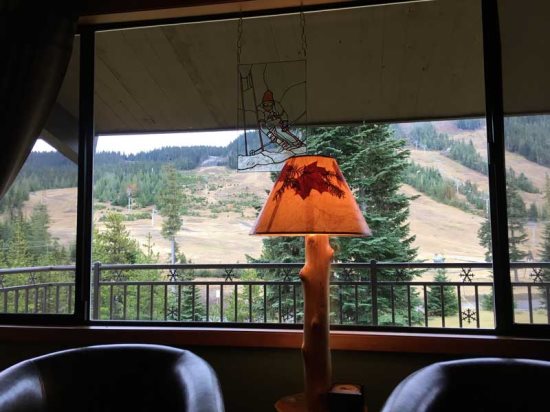 View from living room window.