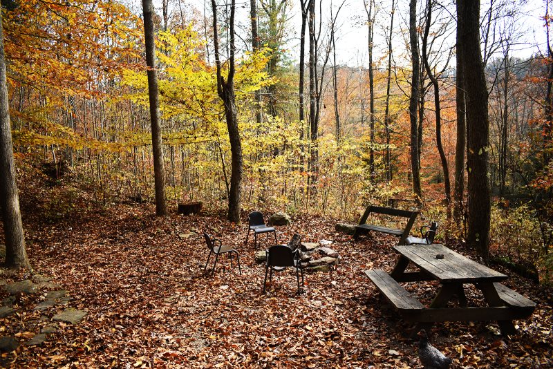 Outdoor picnic area and firepit