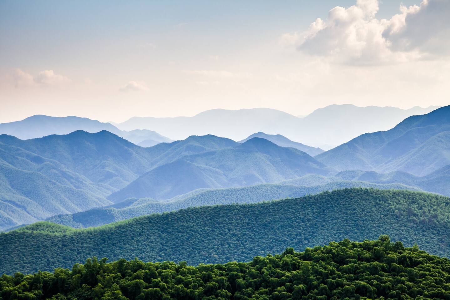 Views from Smoky Mountain National Park!