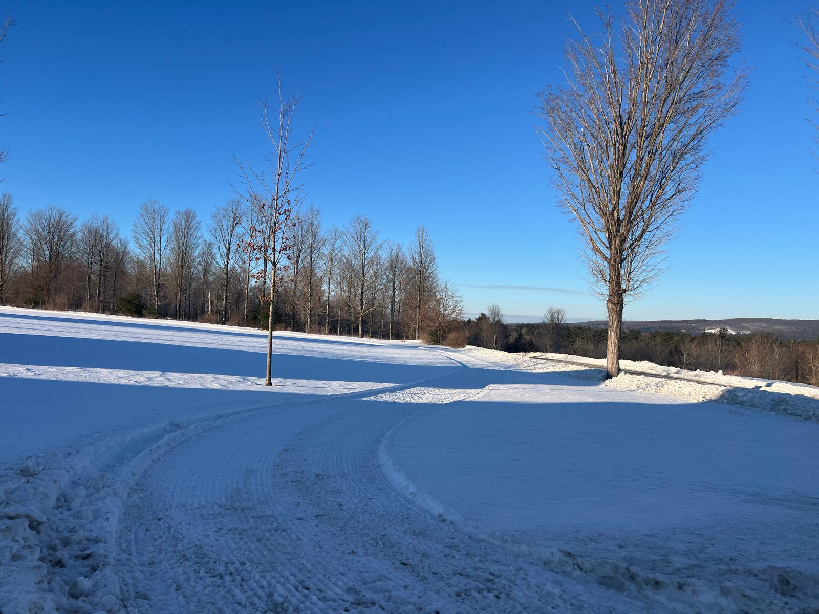 Country Ski and Snowshoe loop
