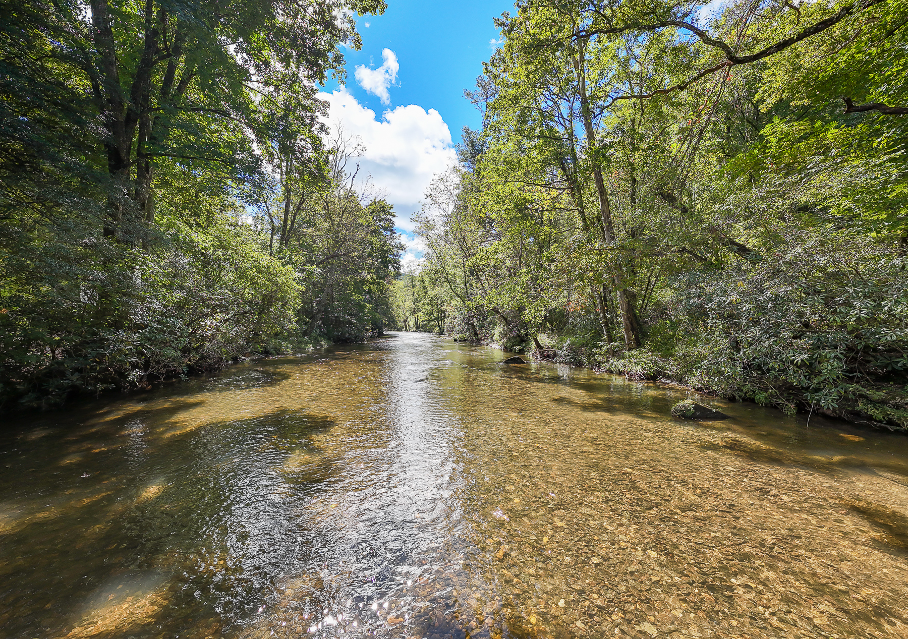 Clear water and tree-lined banks await just behind Robbin’s Nest on Snowbird Creek—a beautiful setting for trout fishing or simply enjoying the view.