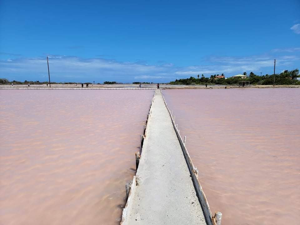 Scenic Salt Flats: Stroll along stunning pink waters and capture unforgettable photos!