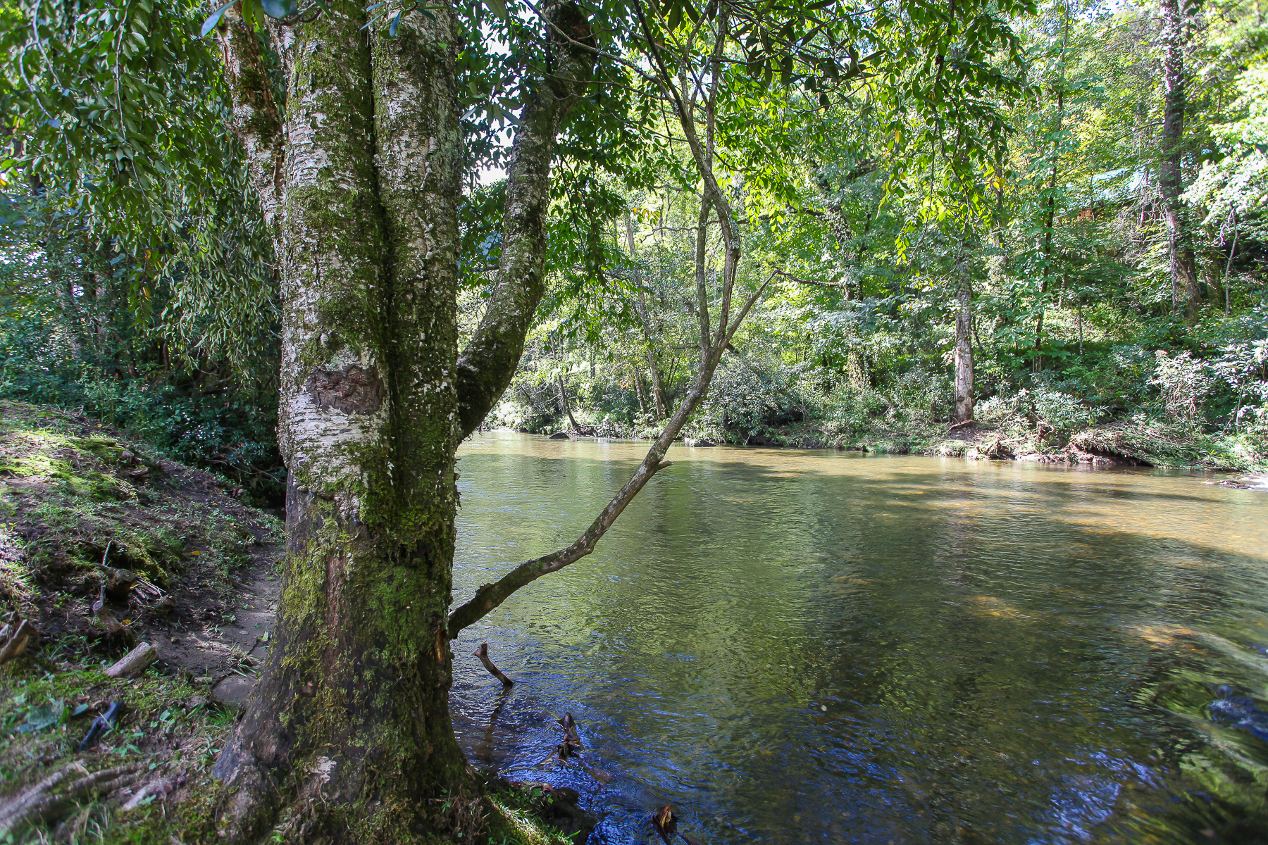 Take in the tree-lined banks and flowing water behind Robbin’s Nest on Snowbird Creek, where you can enjoy trout fishing or a quiet moment by the creek.
