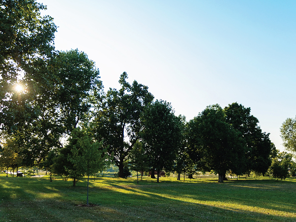 Our large central park separating the South and North Villages. This park is replete with mature trees, a charming walking bridge, fields perfect for playing, meandering trails, and the neighb