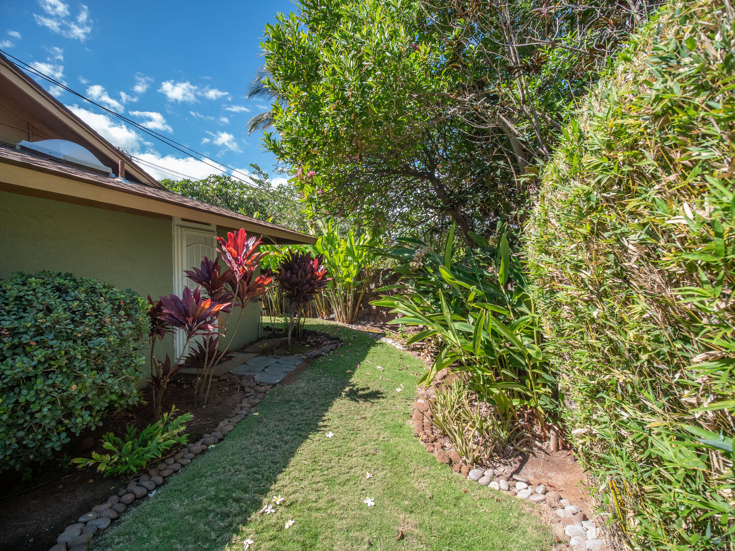 Side yard