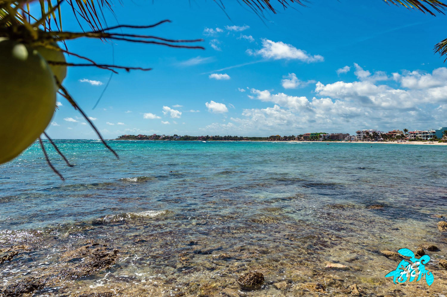 Updated Spacious Beachfront=Snorkeling,Gorgeous,Pool,Amenities & Views 3