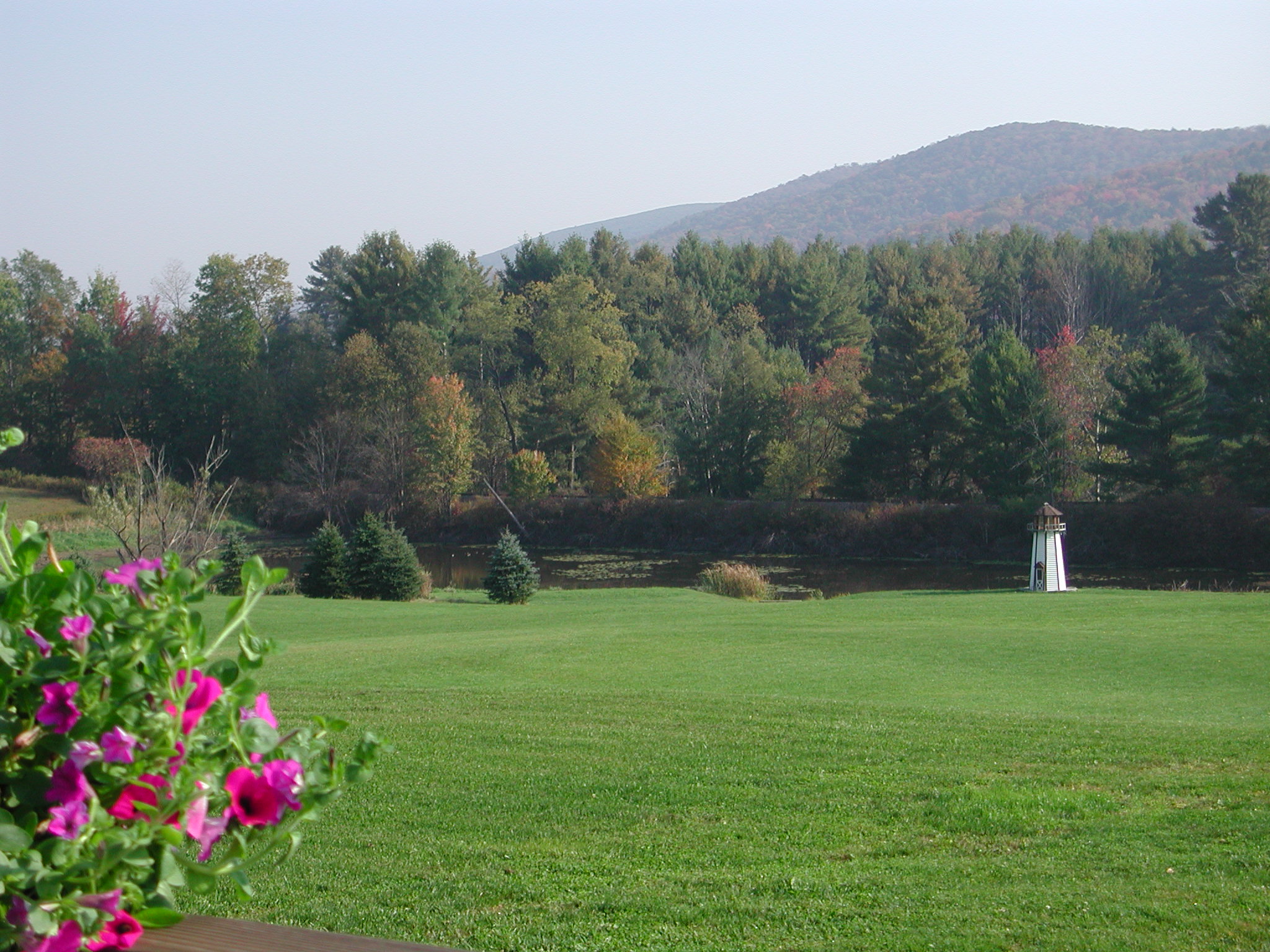 Scenic pond at edge of HUGE lawn