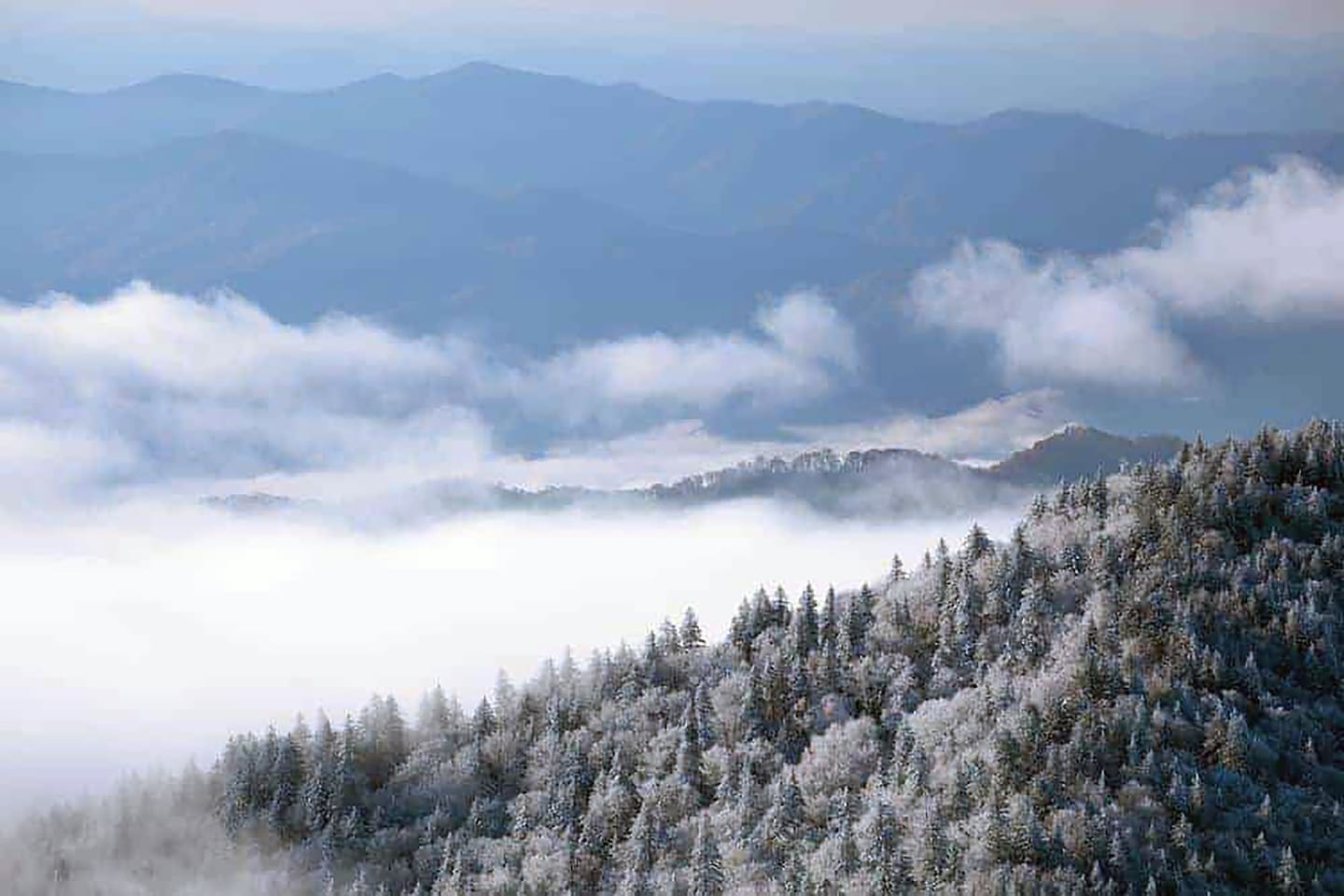 Winter in the Smoky's
