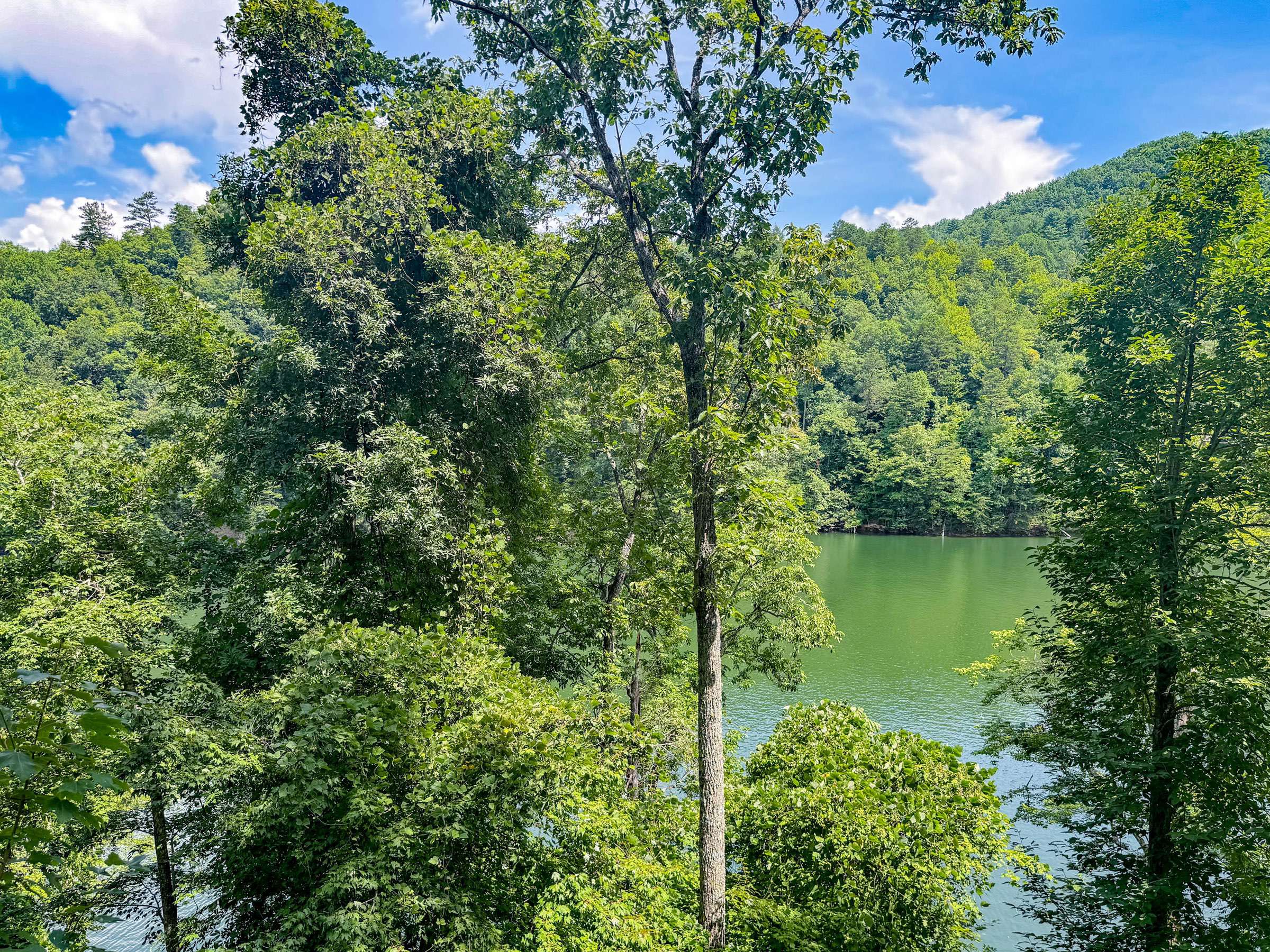 A view of Fontana Lake from the staircase. There is a nice rocking chair to just sit and enjoy some alone time or enjoy a cup of coffee in the morning while reading a book.