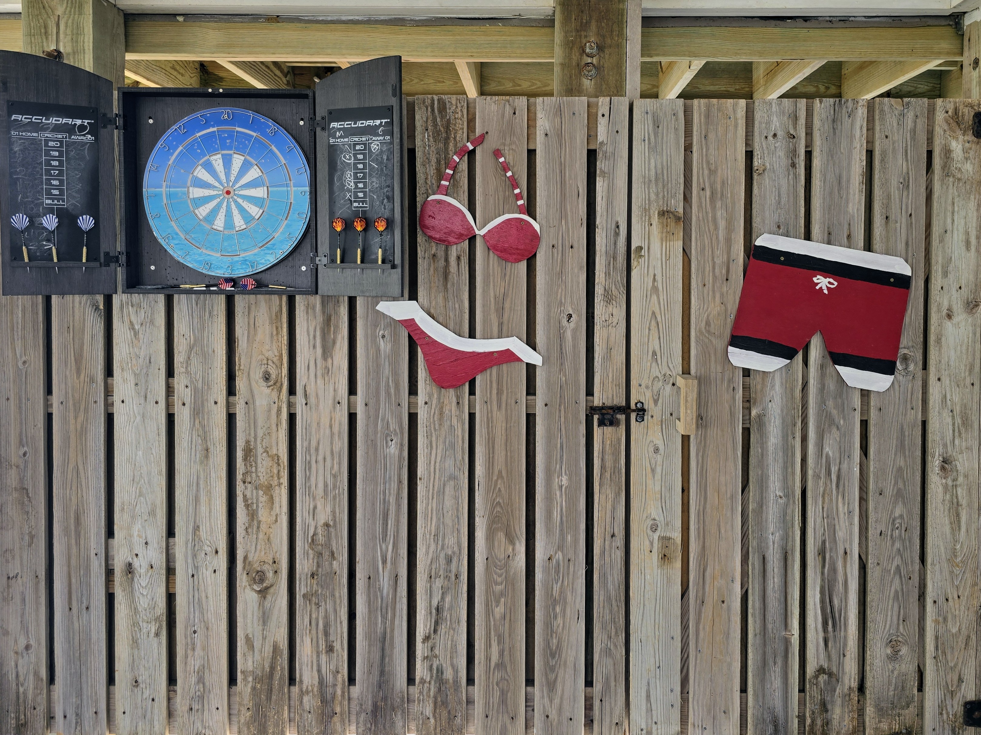 Dart Board