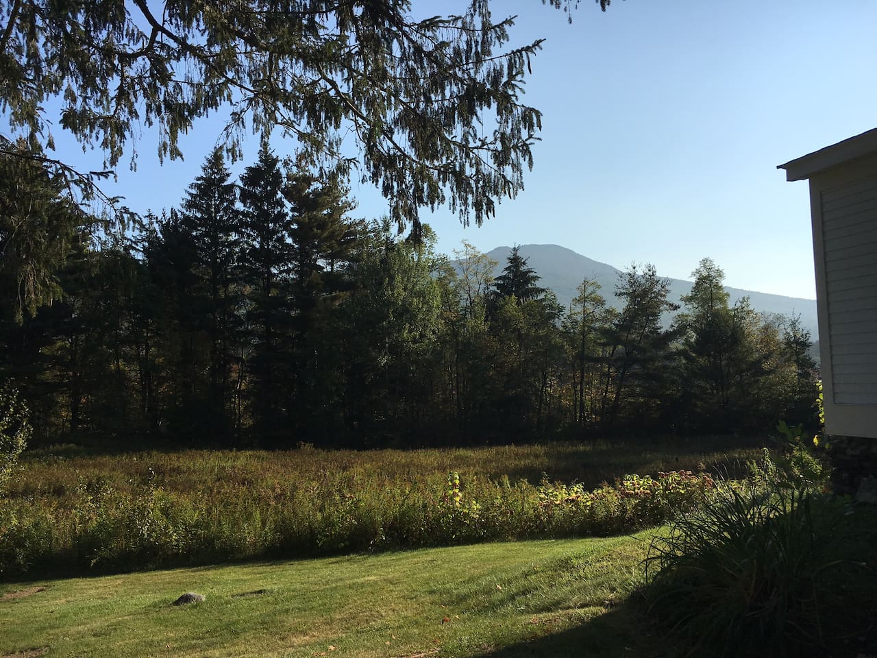 Mountain View from the House