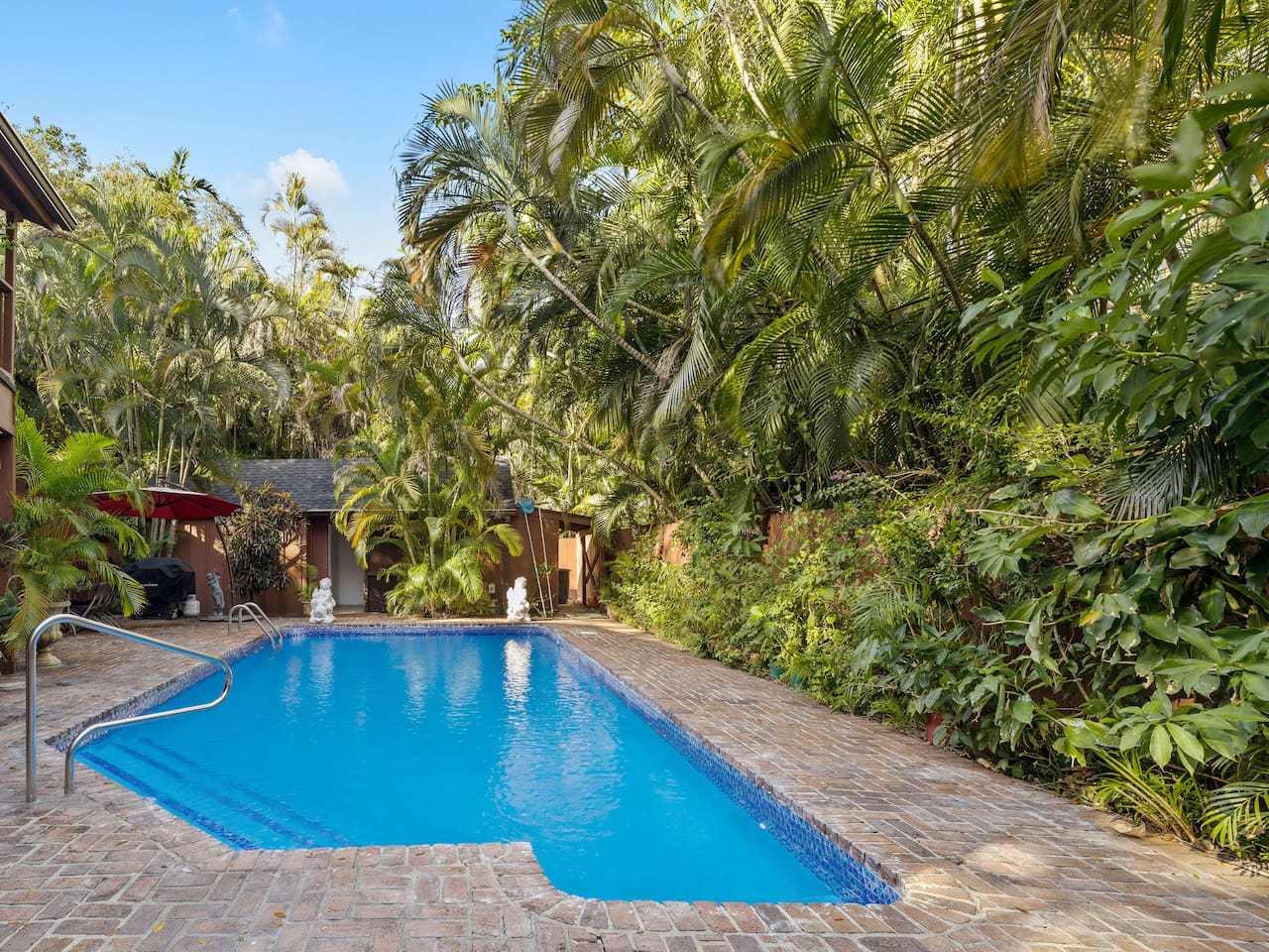 Tropical Swimming Pool Open Year Round