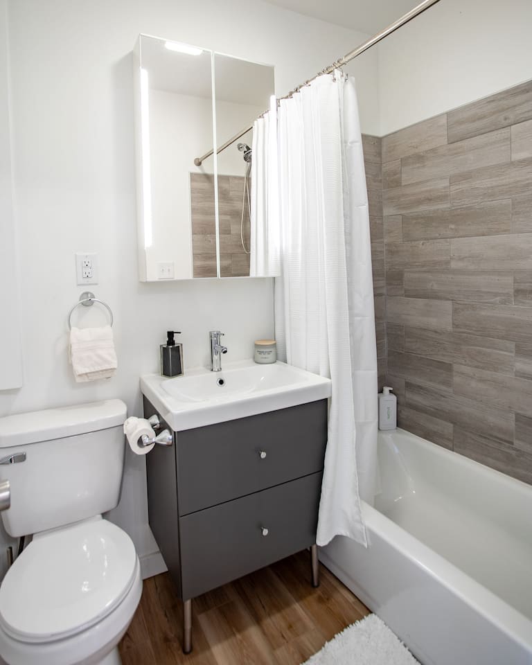 Bathroom Toilet and Tub