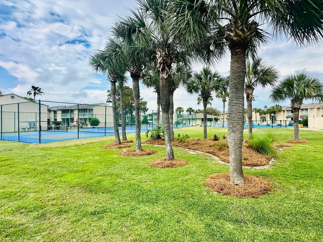 Pickleball courts