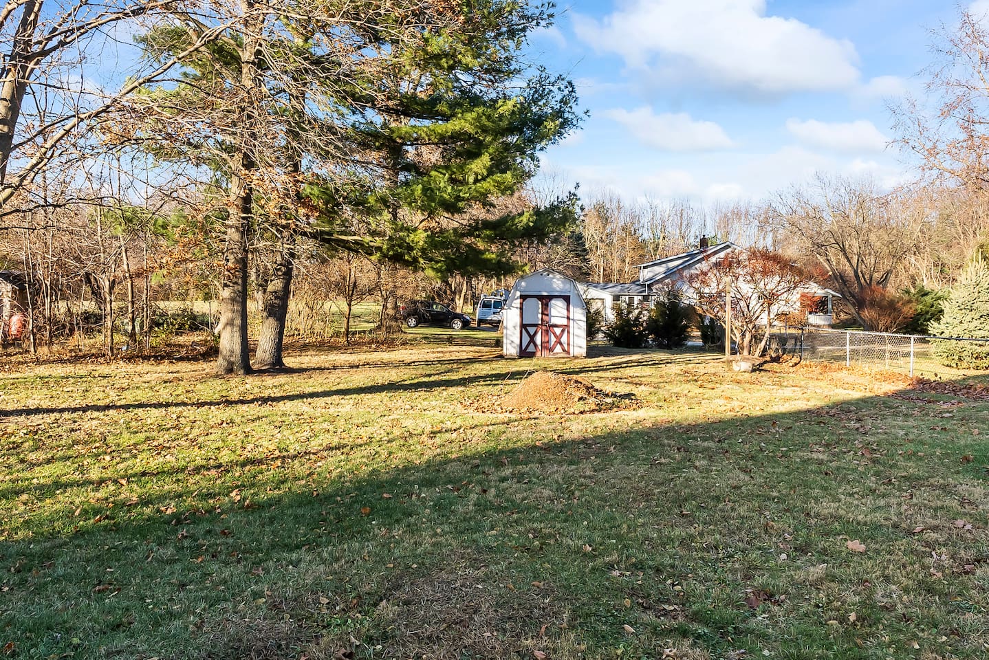 Backyard view featuring a storage shed and plenty of green space.
