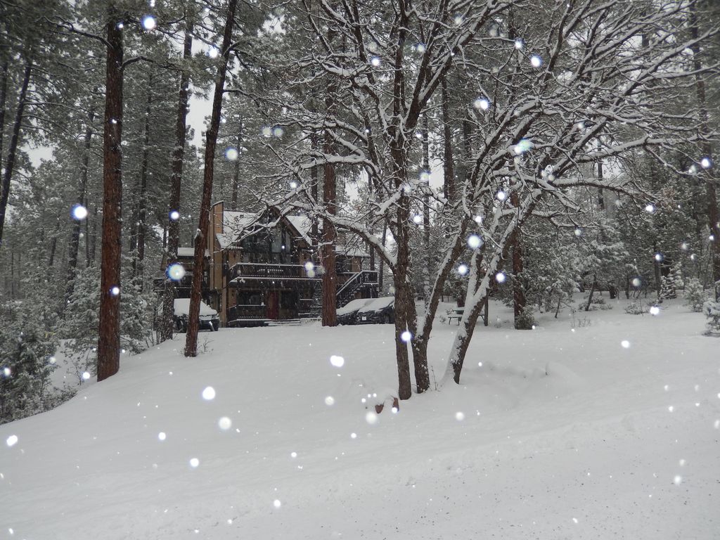 Let it snow, let it snow, let it snow!