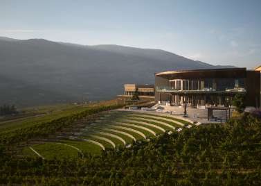 Wineries icon