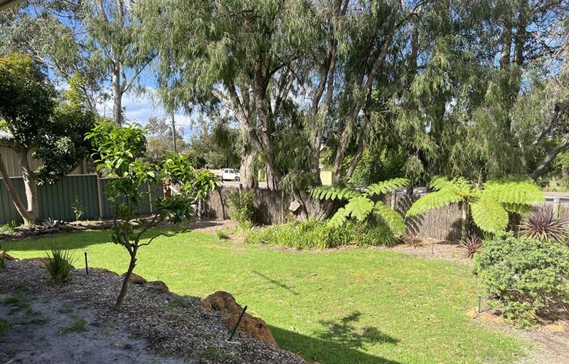 Large Backyard