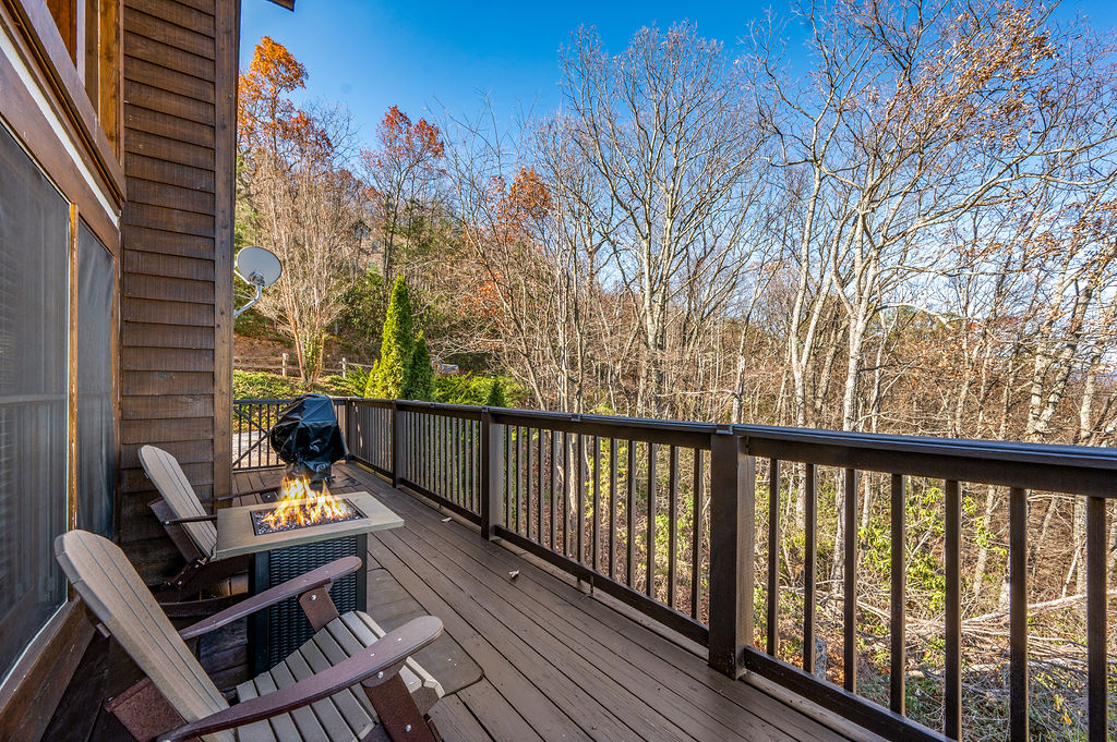 View from the deck toward the parking lot.