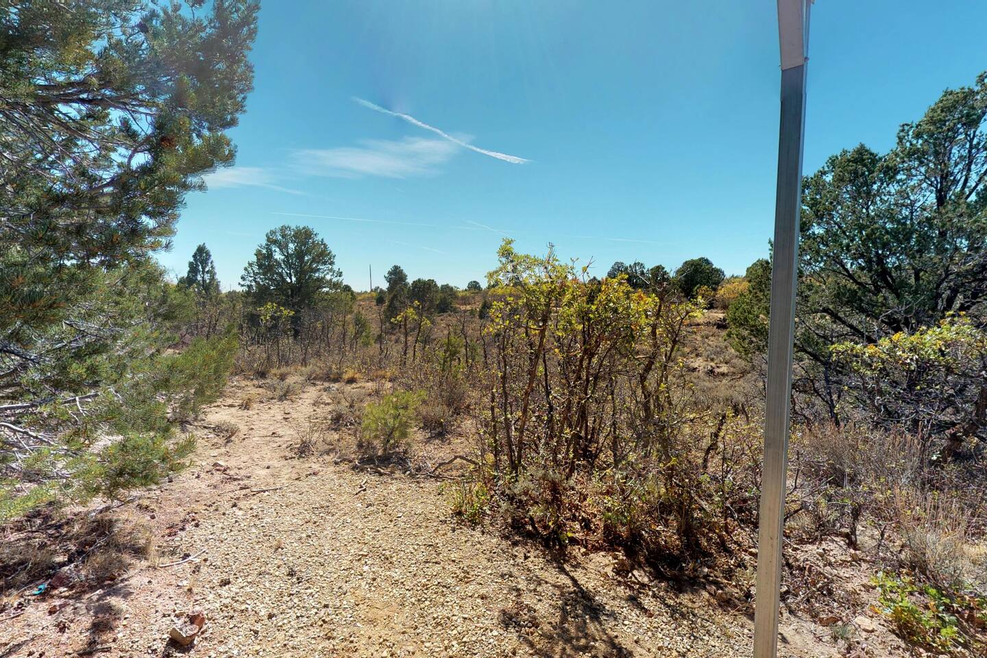 View from the covered porch