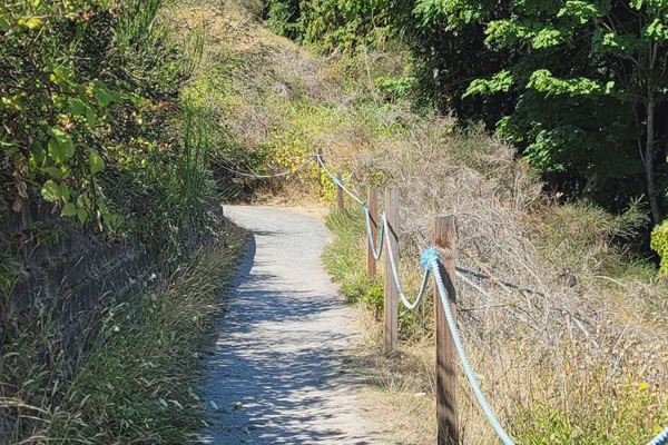 Resort pathway to Beach.