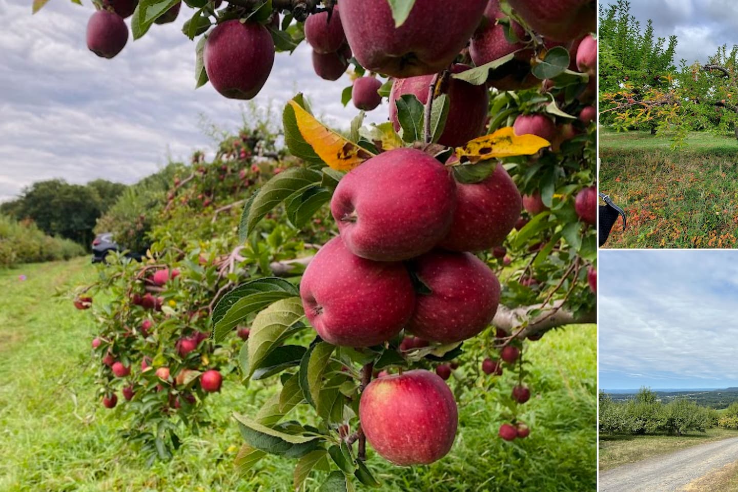 Masker Orchards. - 18 miles