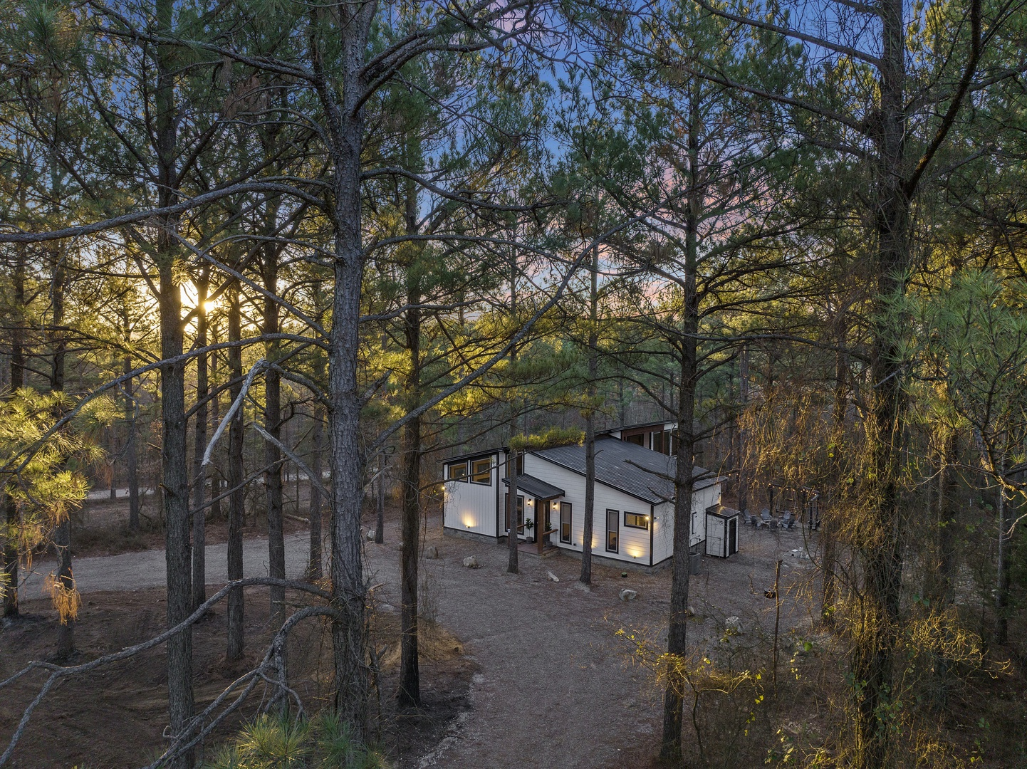 Golden hour through the pines, where sunlight, stillness, and nature come together beautifully.