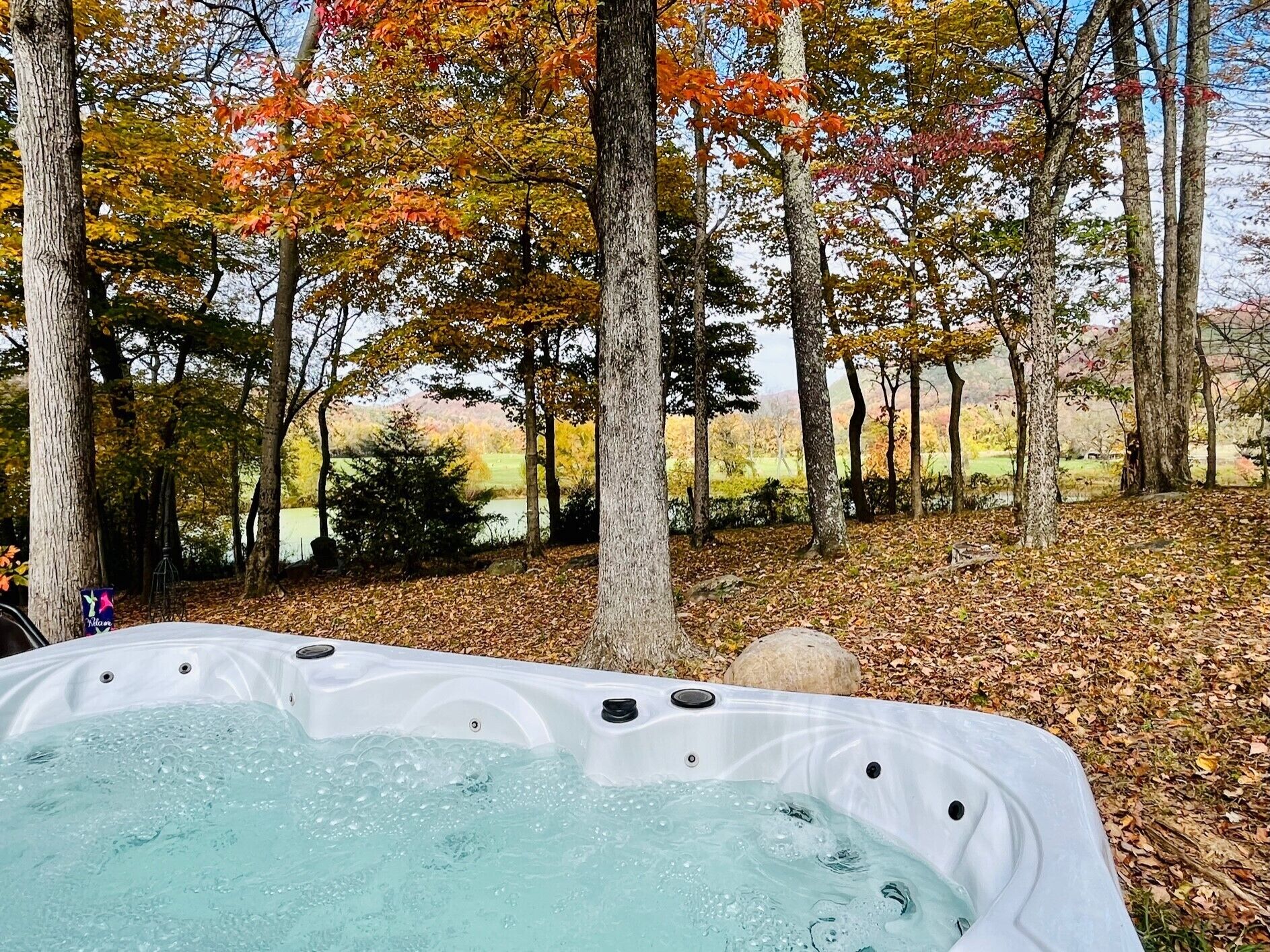 View from the hot tub during Fall