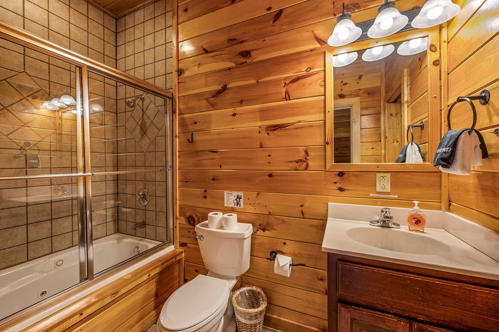 Lower Level Bathroom 2