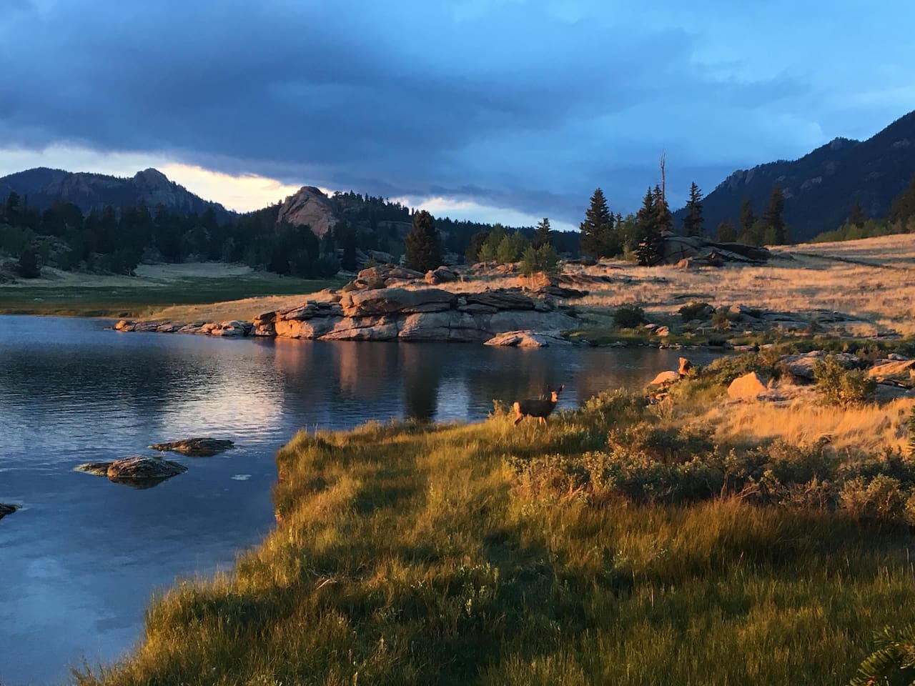 Eleven Mile State Park in Lake George
fishing, Boating & Hiking
