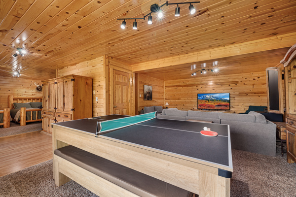 Pool / Ping Pong Table