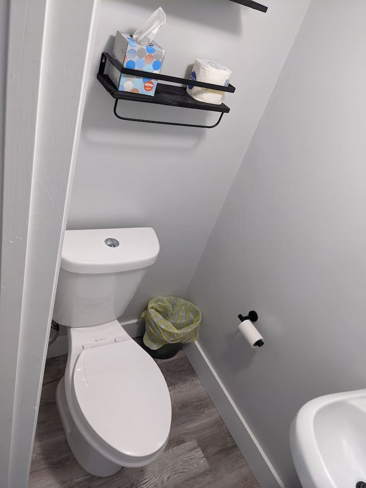 Powder room downstairs