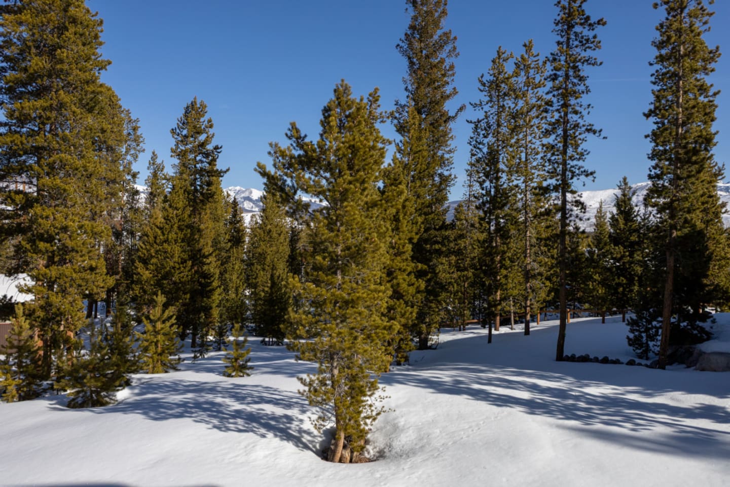 1264 GCR 4739- mls res-9