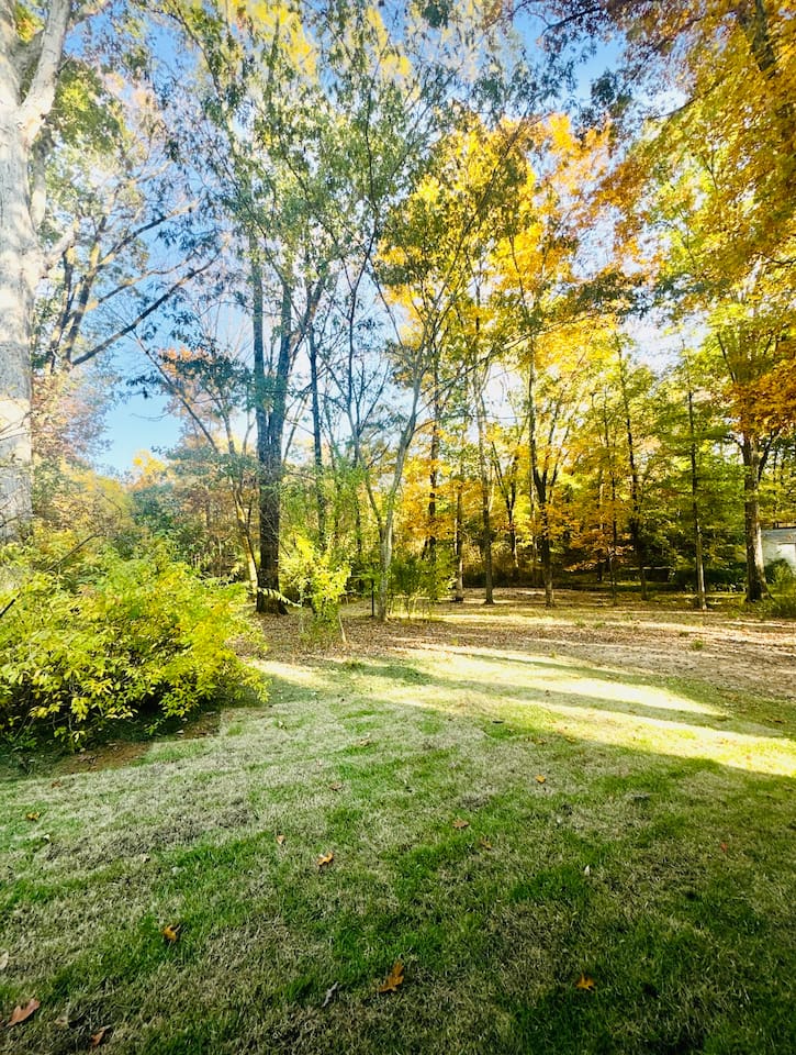 Large backyard with beautiful, old trees 