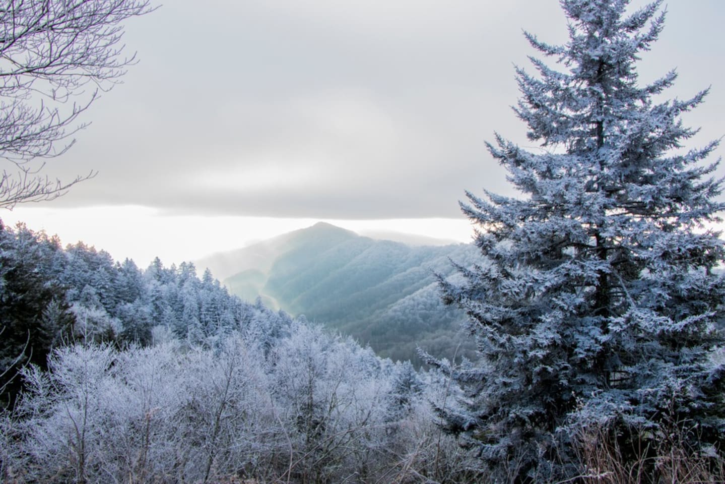 So many seasons to come visit us, Winter is a wonderland.