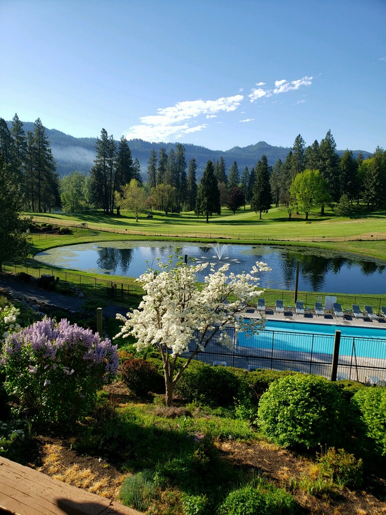View of the pool and pond