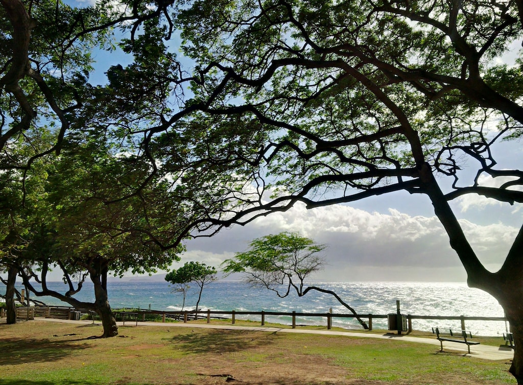 Kamaole 3 beach park