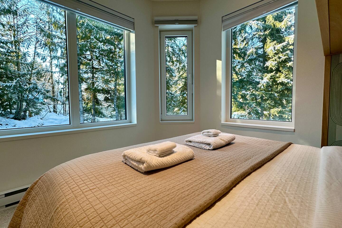 All bedrooms have windows that look out onto the peaceful and private backdrop of Fitzsimmons Creek and the surrounding treed parkland. In summer months open the windows to hear the cool soothing sounds of this magnificent glacial fed creek. 