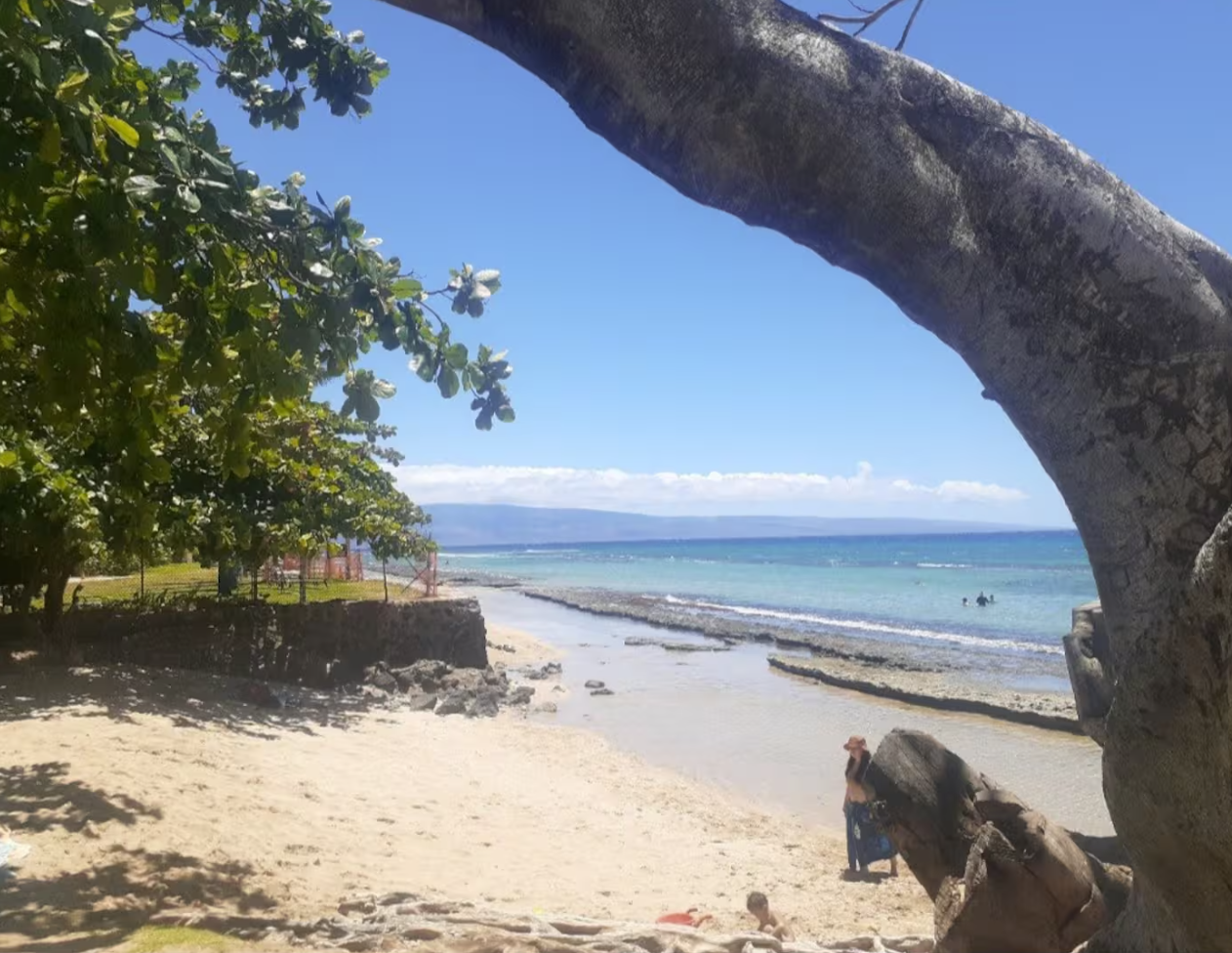 Neighborhood beach park and snorkeling 