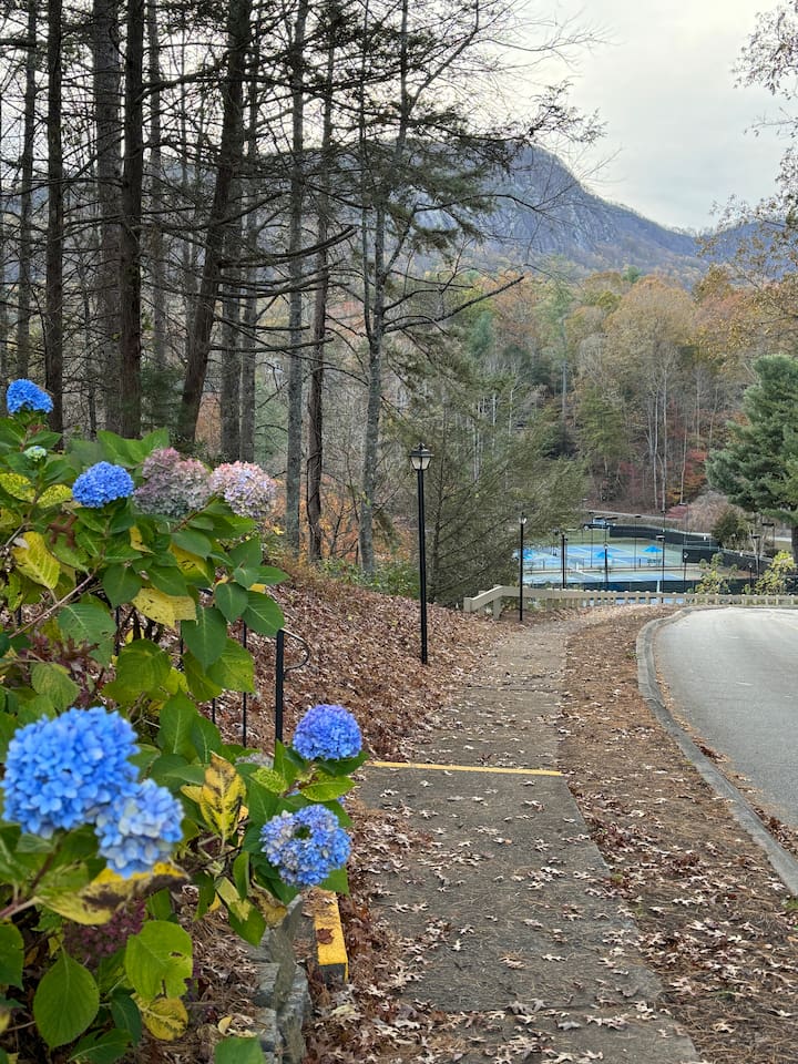 Sidewalk stroll to tennis and pickleball courts