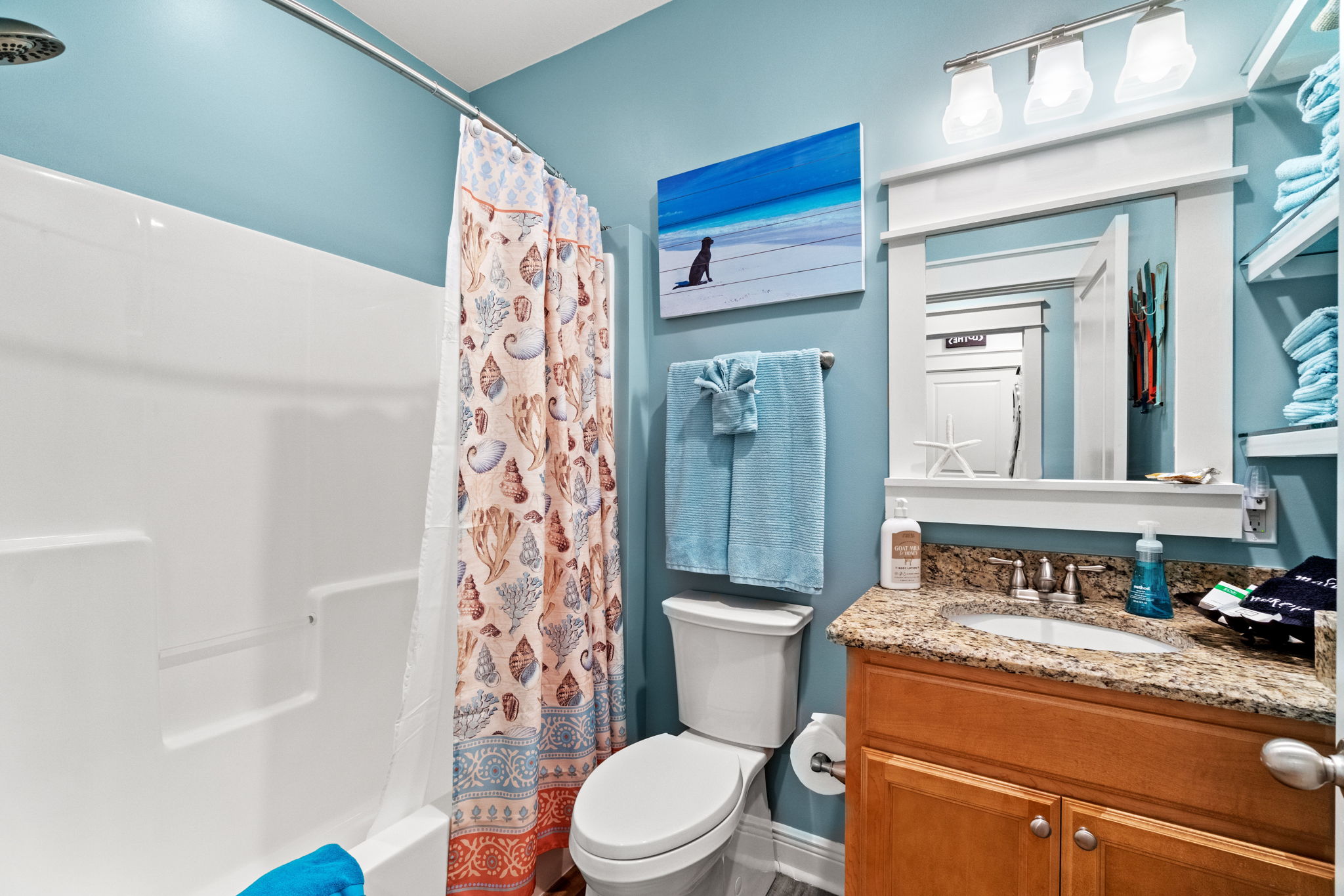 Guest hall bath with storage for everyone!