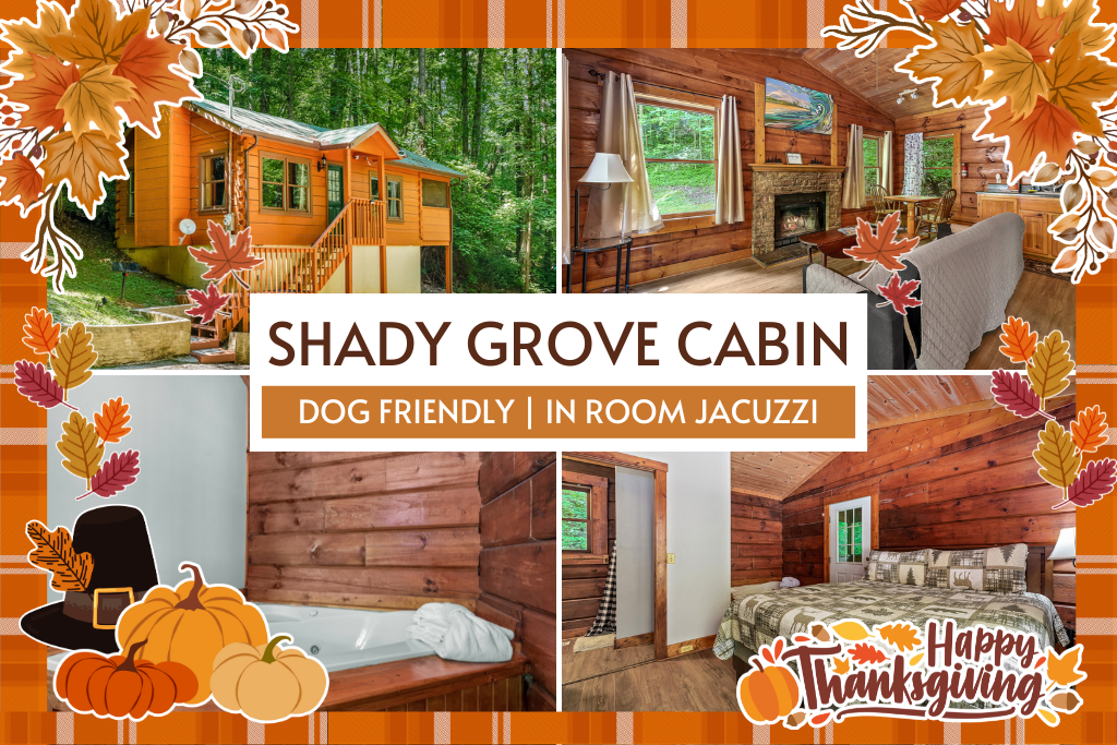 Welcome to Shady Grove Cabin – your private, dog-friendly Smoky Mountain escape!